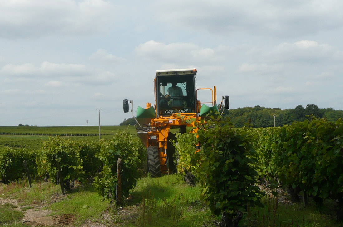 vendangeuse.jpg
